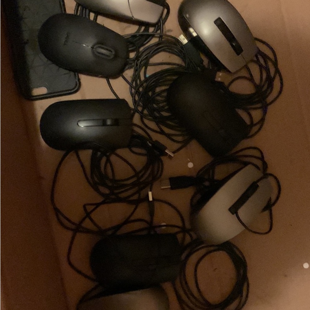 Mouse